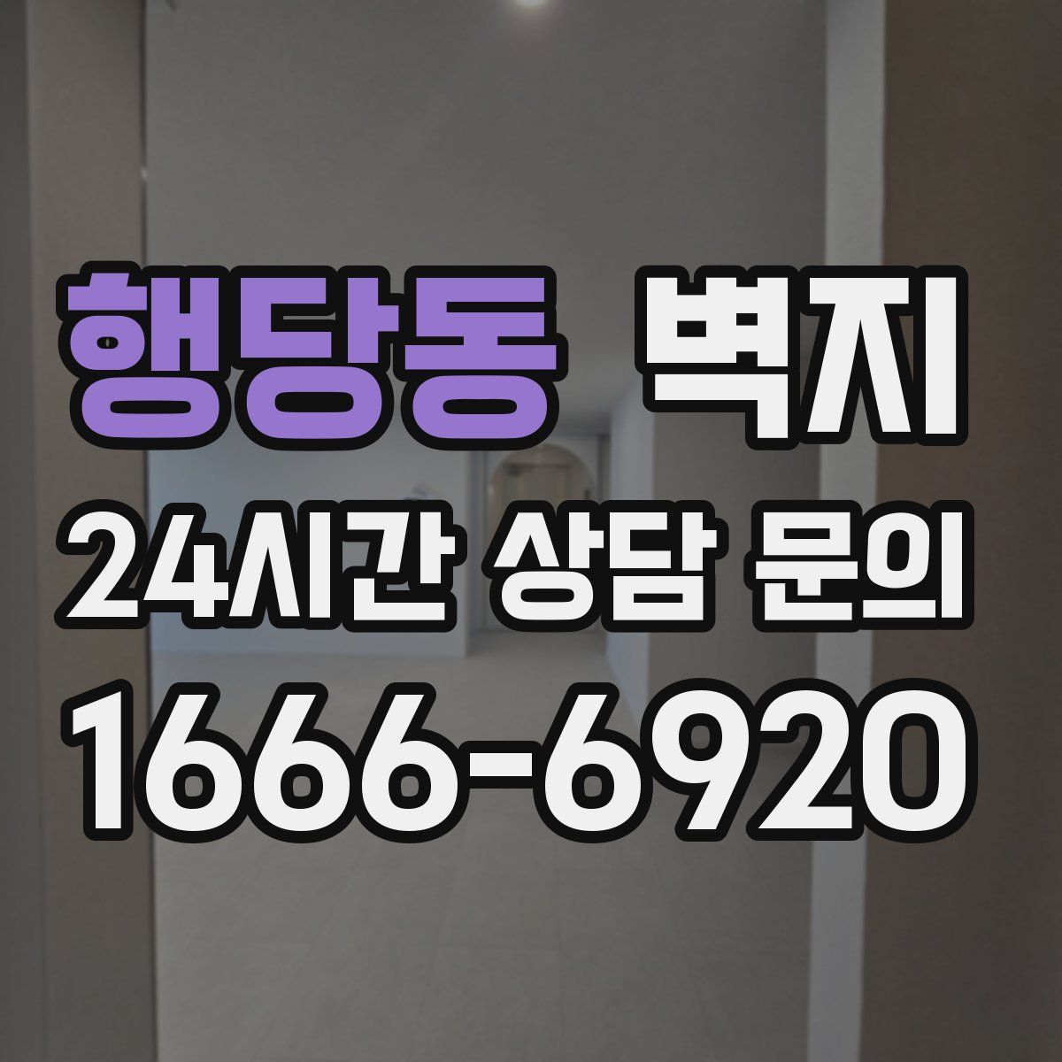 행당동 벽지