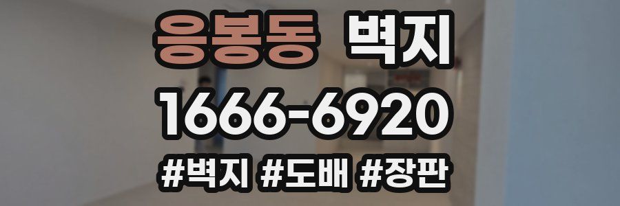 응봉동 벽지