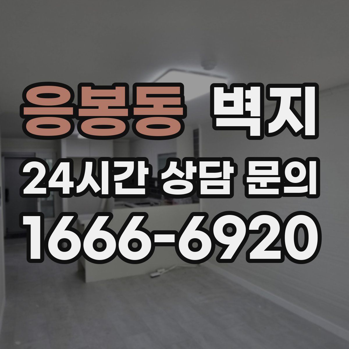 응봉동 벽지