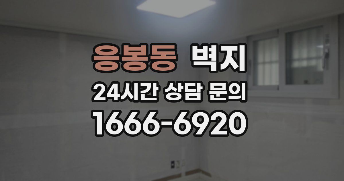 응봉동 벽지