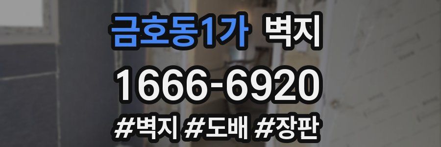 금호동1가 벽지