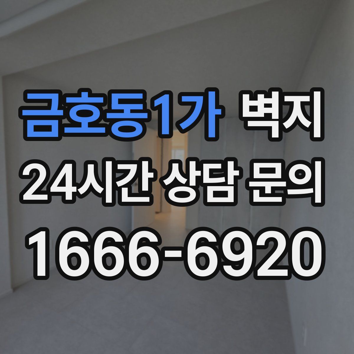 금호동1가 벽지