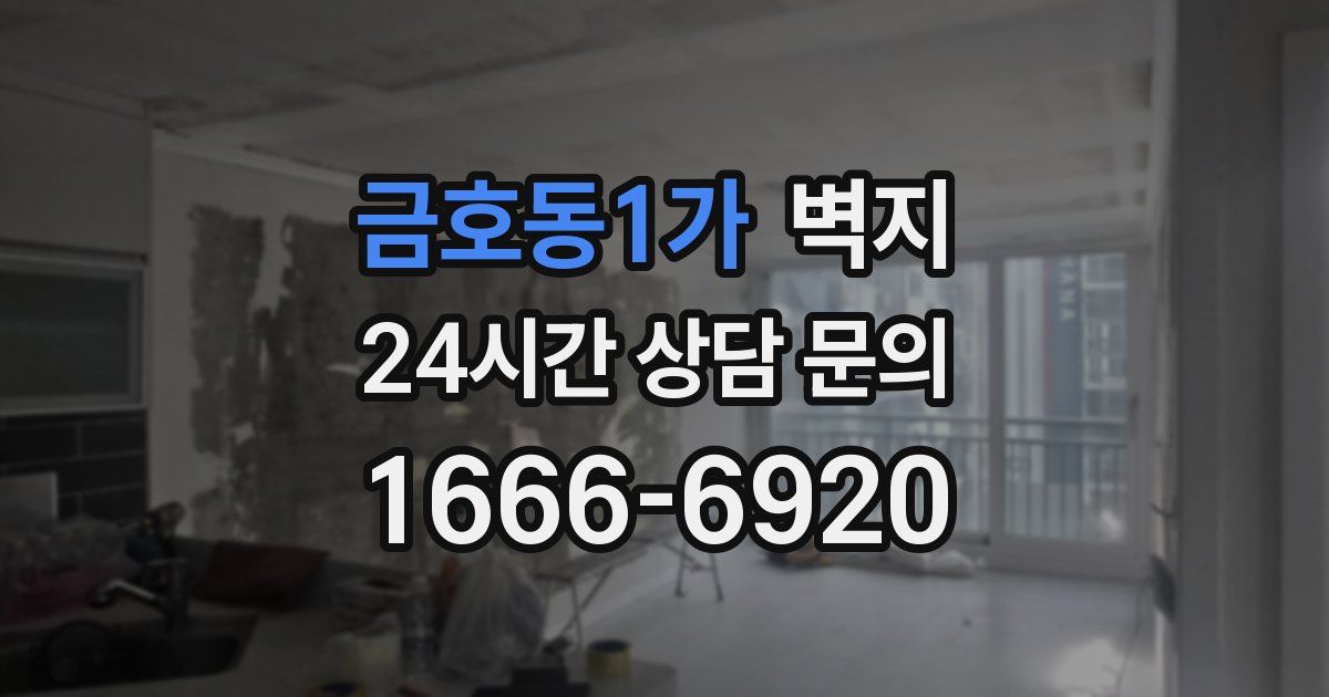 금호동1가 벽지