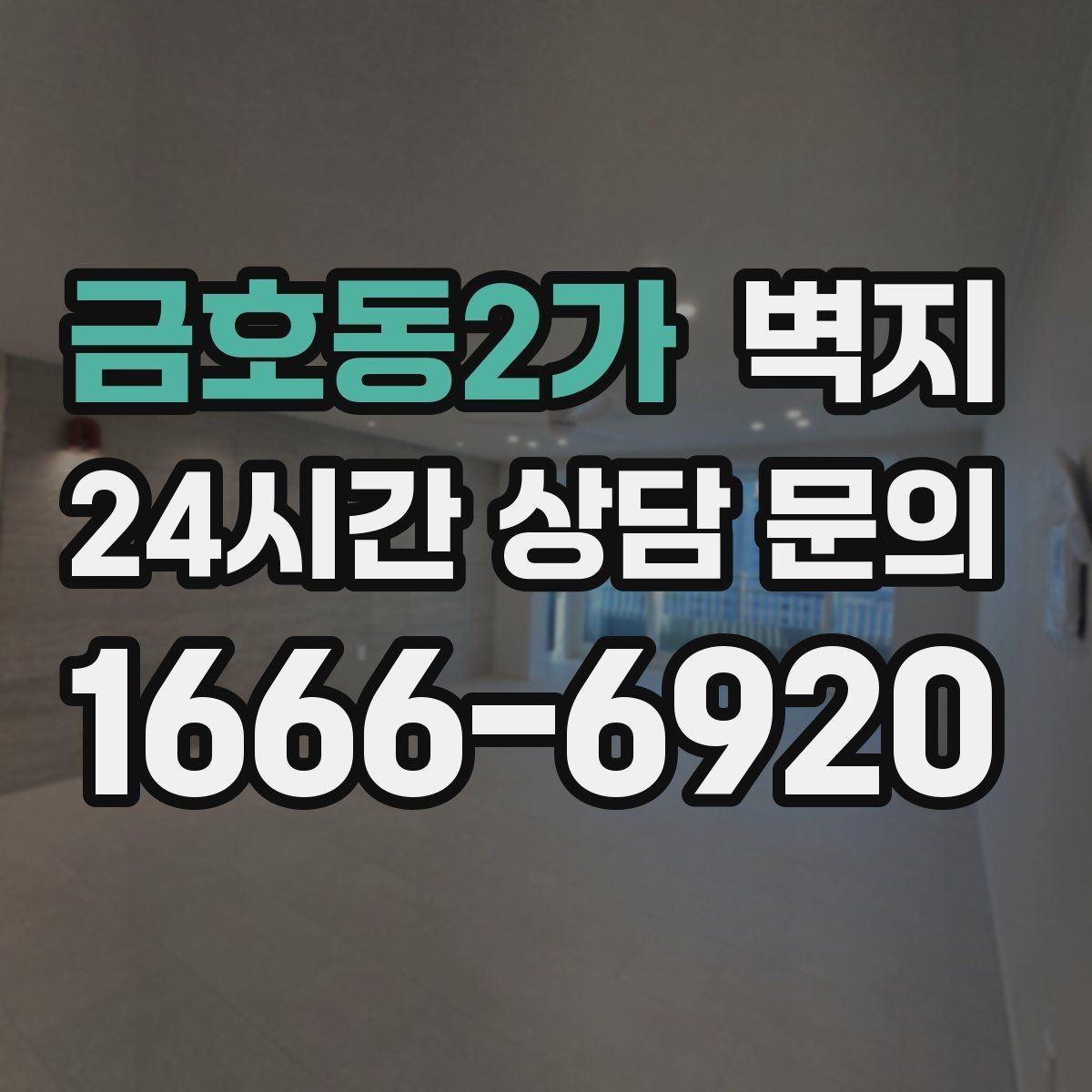 금호동2가 벽지 시공 전에 볼 것해야 할 사항