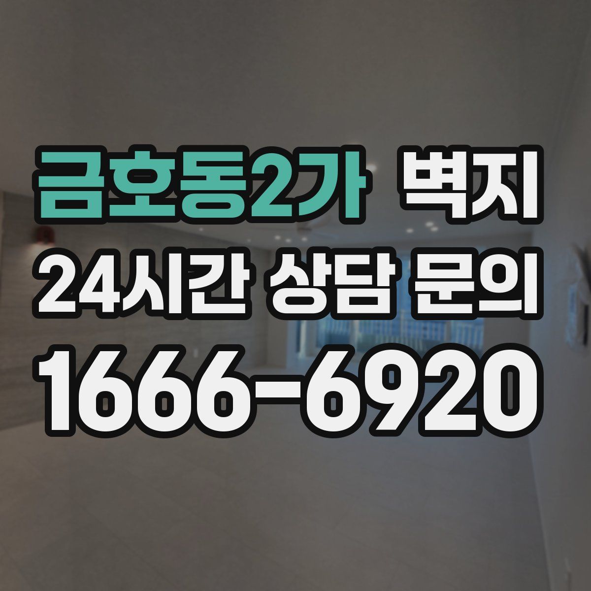 금호동2가 벽지