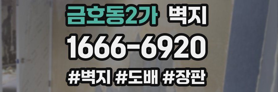 금호동2가 벽지