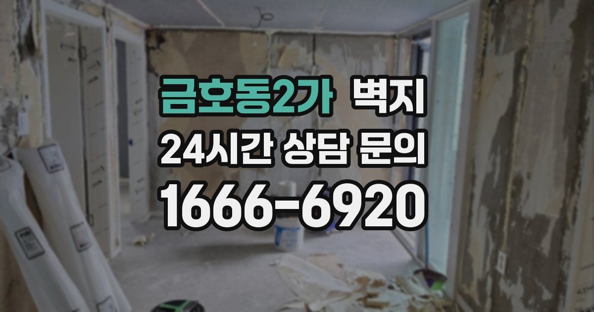 금호동2가 벽지