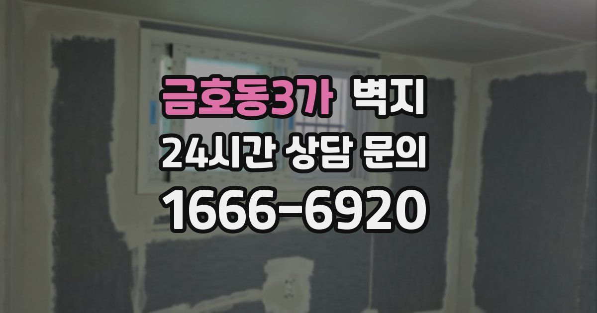 금호동3가 벽지