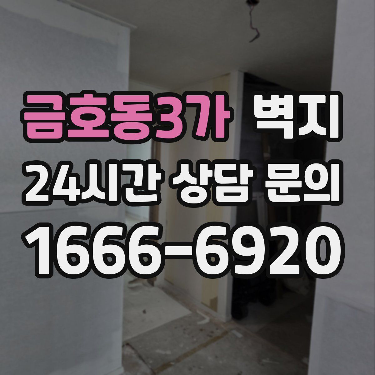금호동3가 벽지