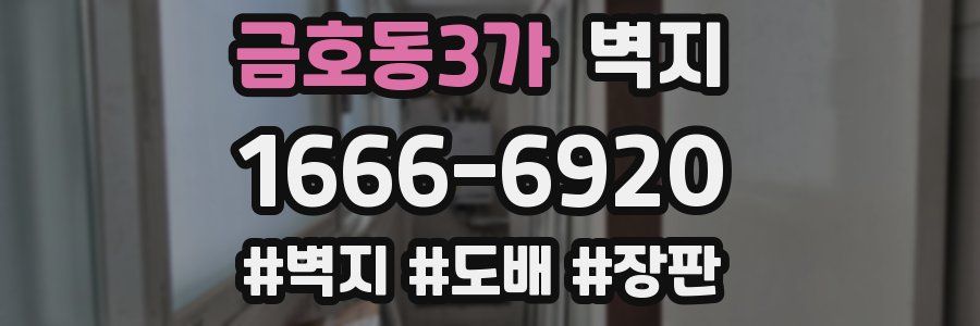 금호동3가 벽지