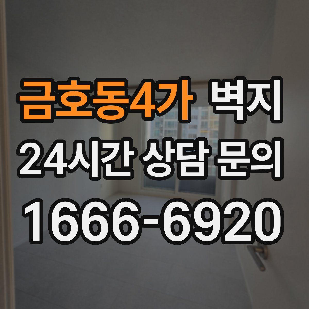 금호동4가 벽지