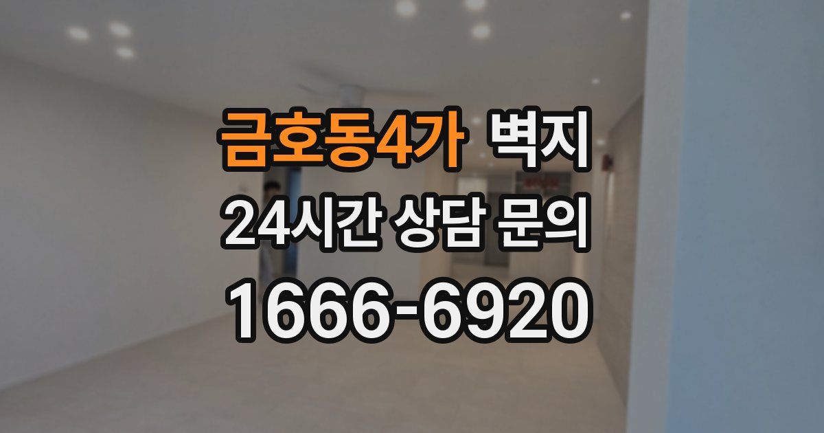 금호동4가 벽지