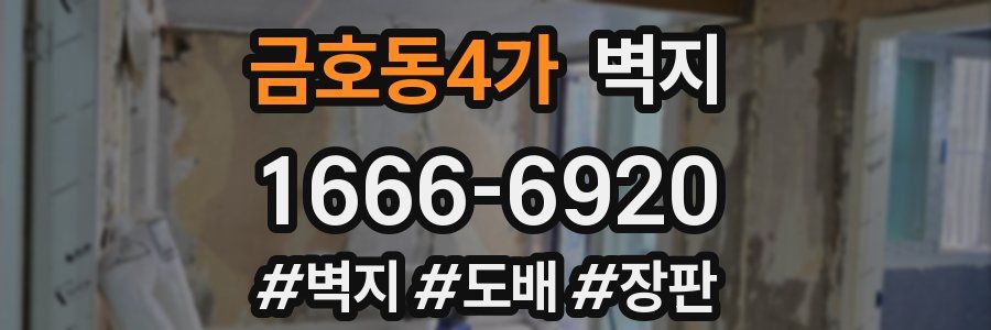 금호동4가 벽지
