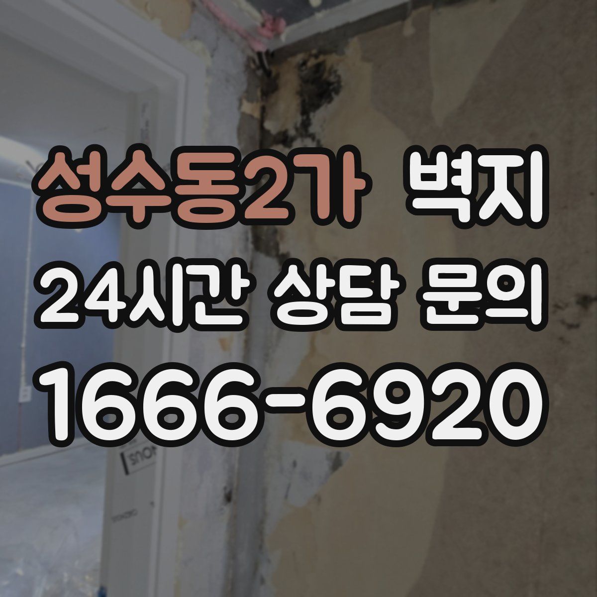 성수동2가 벽지