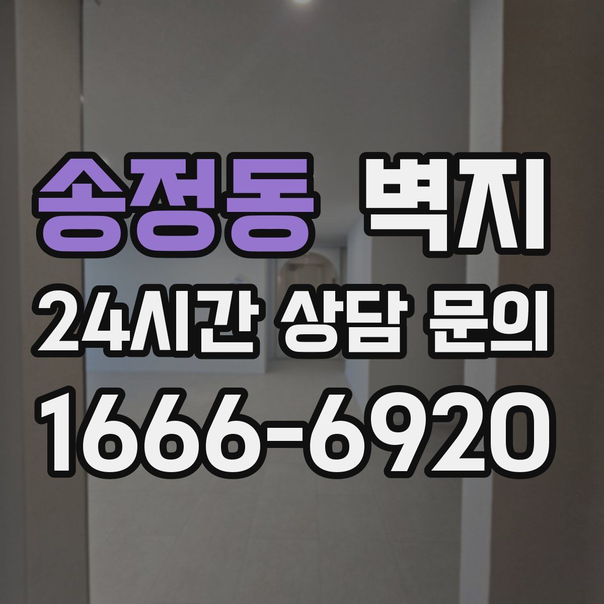 송정동 벽지
