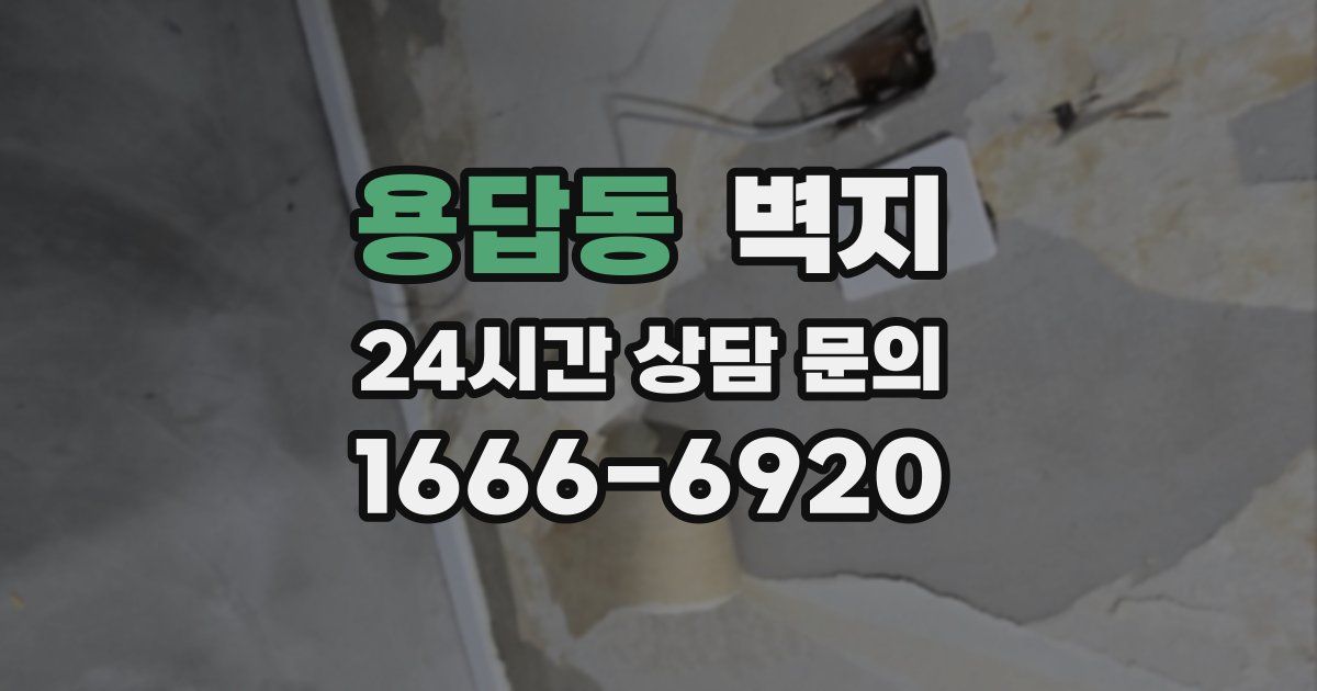 용답동 벽지
