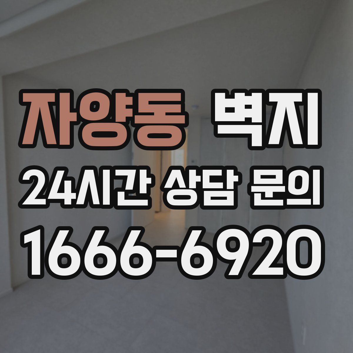 자양동 벽지