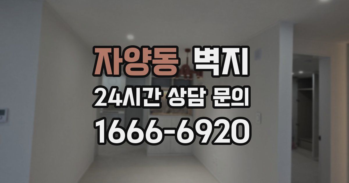 자양동 벽지
