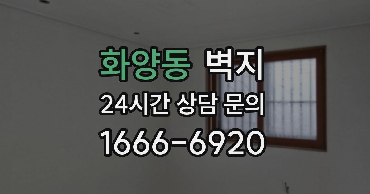 화양동 벽지