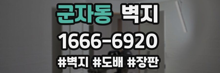 군자동 벽지