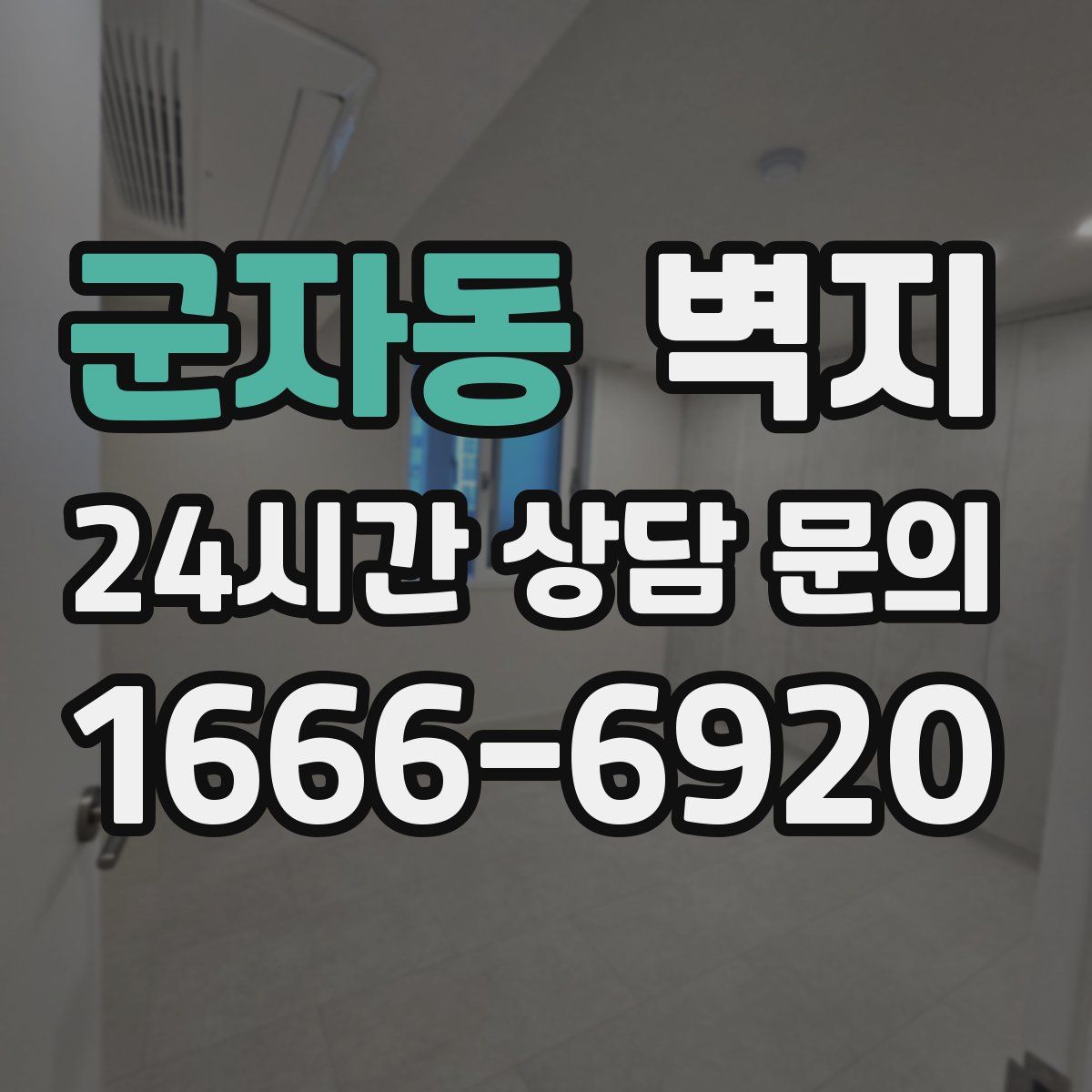 군자동 벽지
