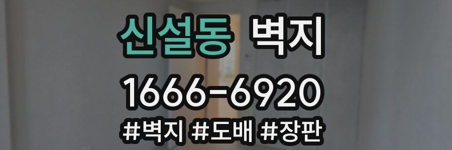 신설동 벽지