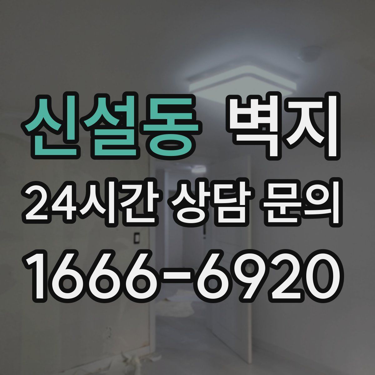 신설동 벽지