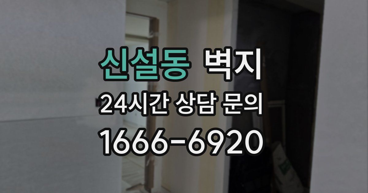 신설동 벽지
