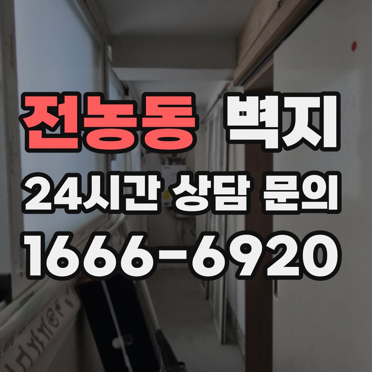 전농동 벽지