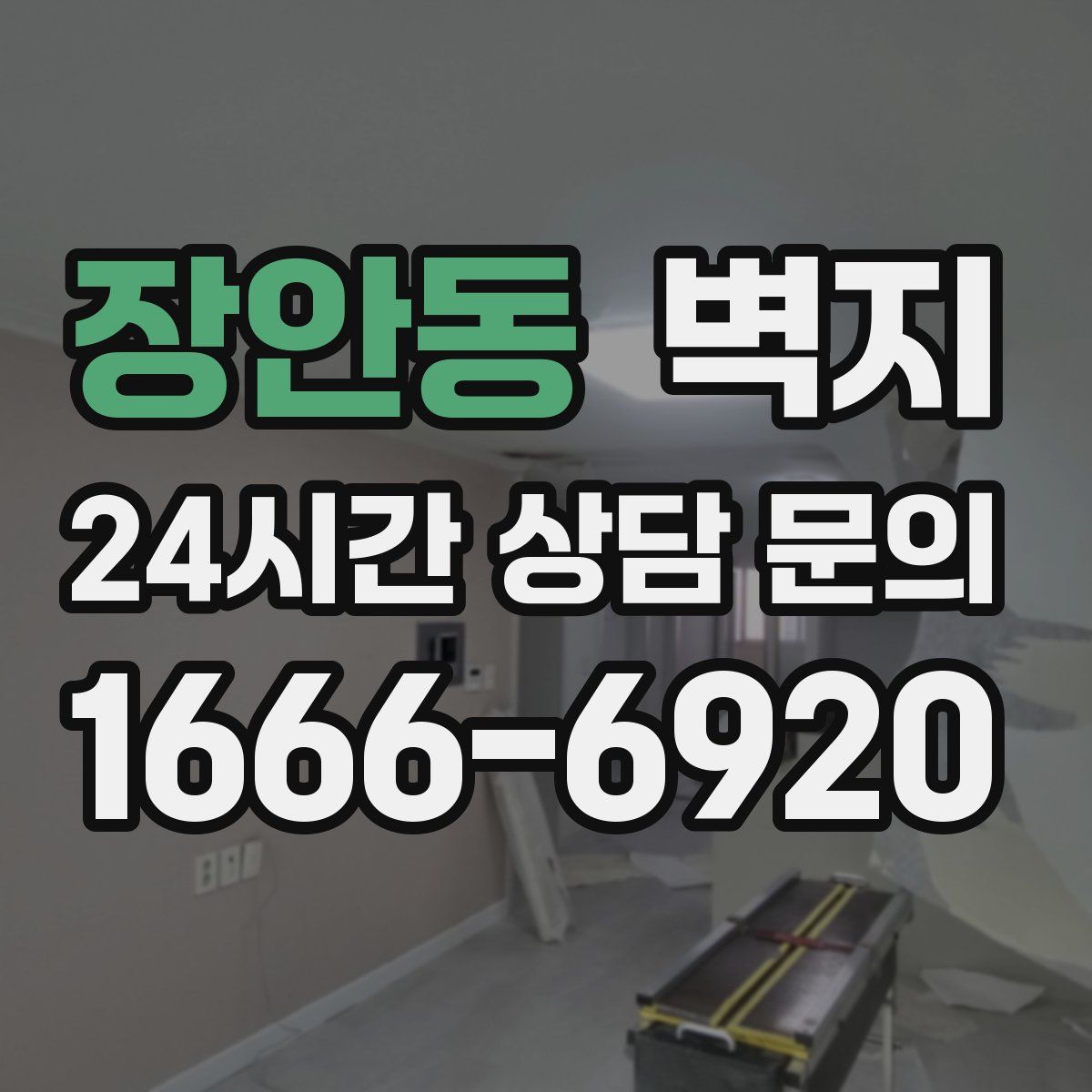 장안동 벽지