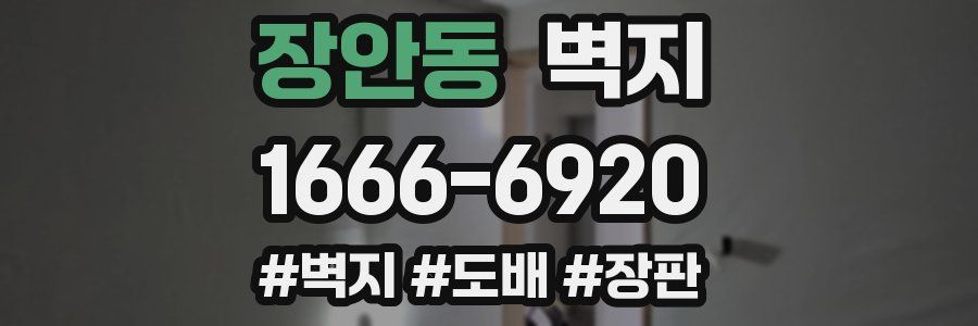 장안동 벽지