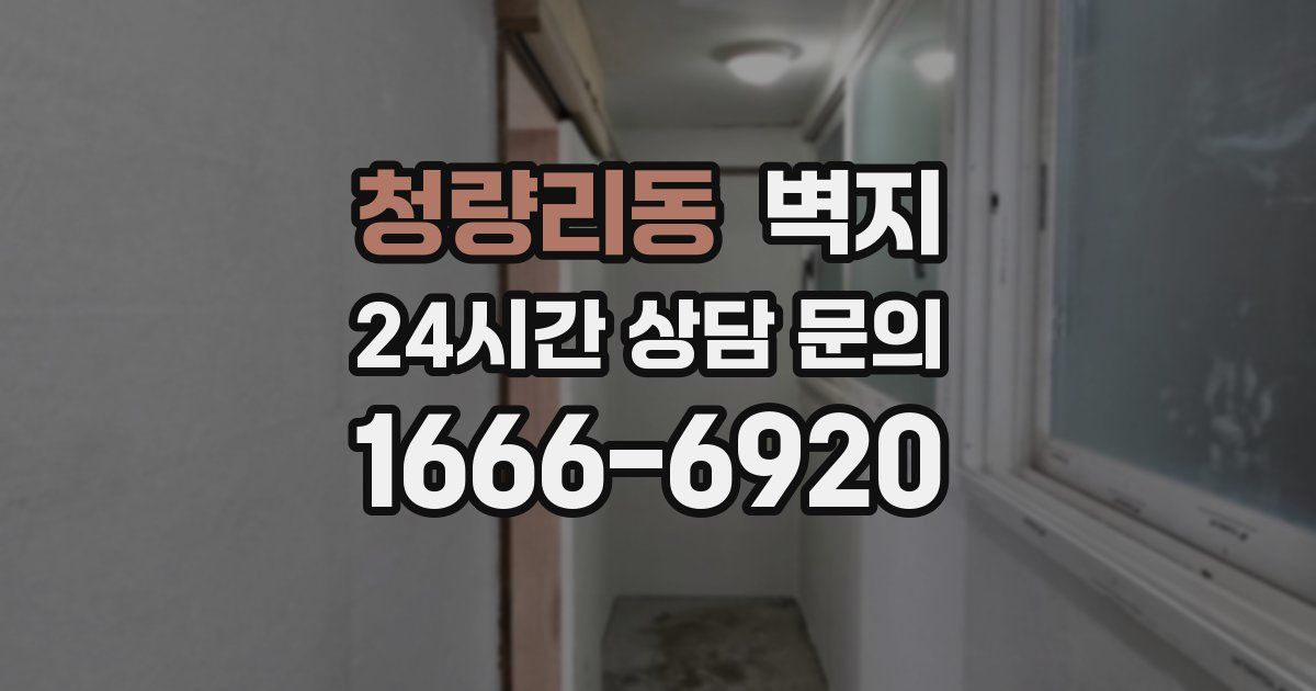 청량리동 벽지