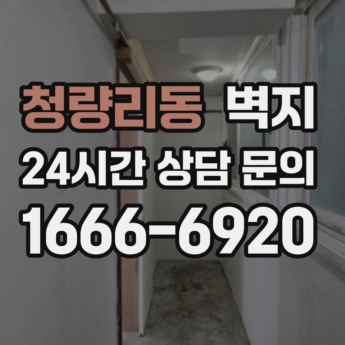 청량리동 벽지