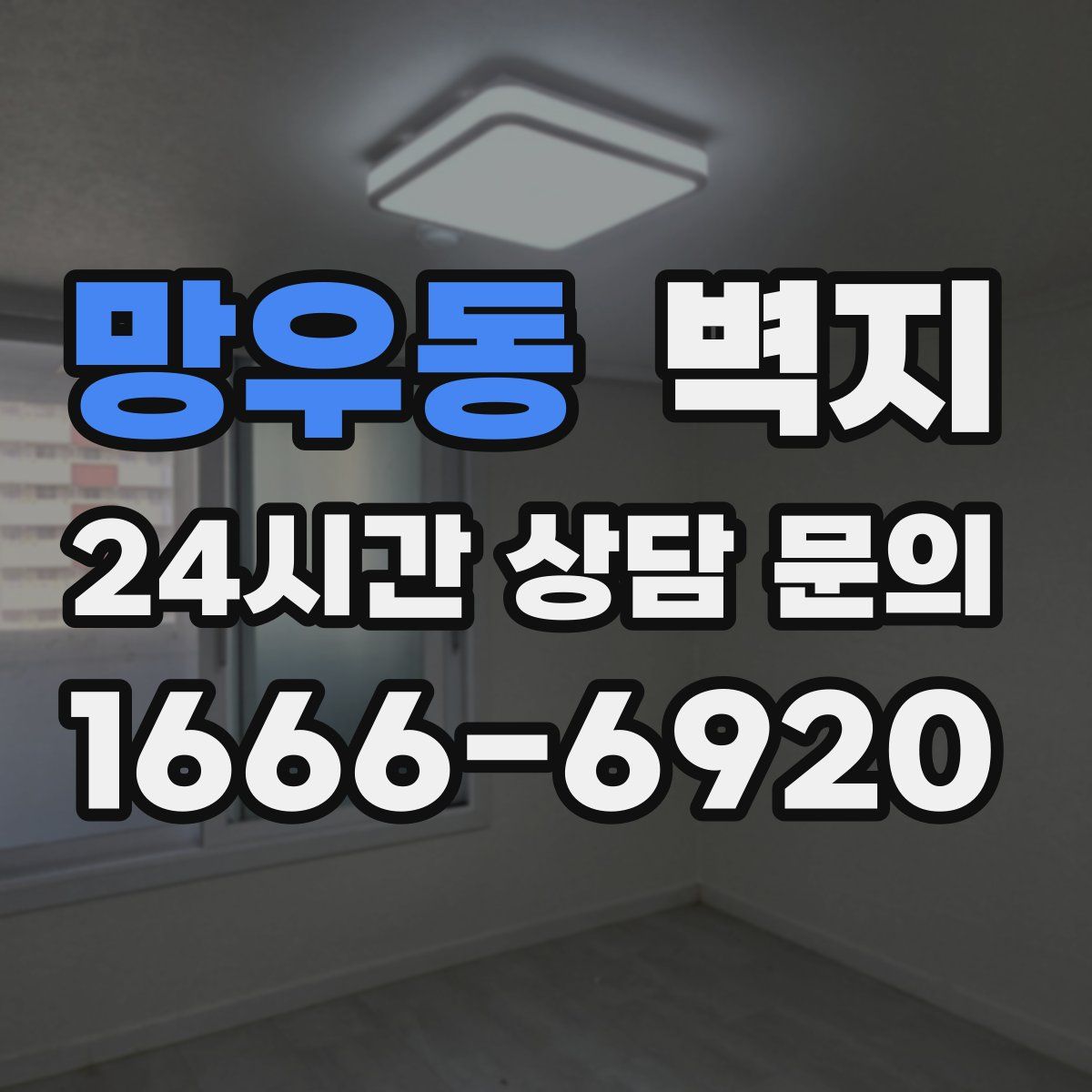 망우동 벽지