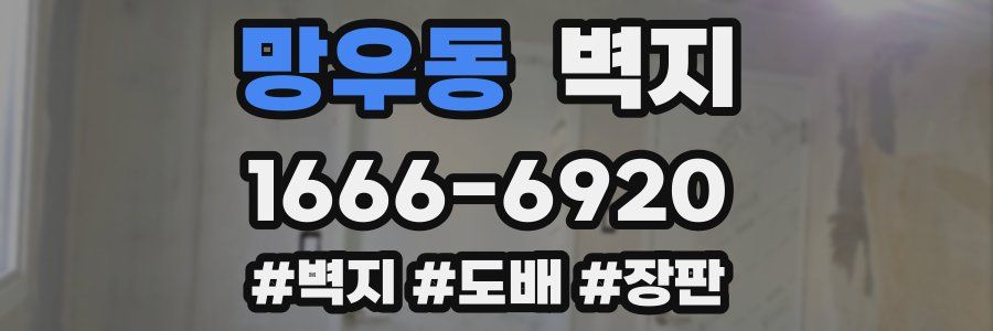 망우동 벽지
