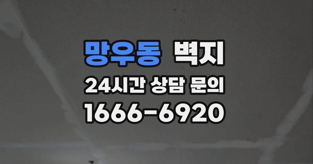 망우동 벽지
