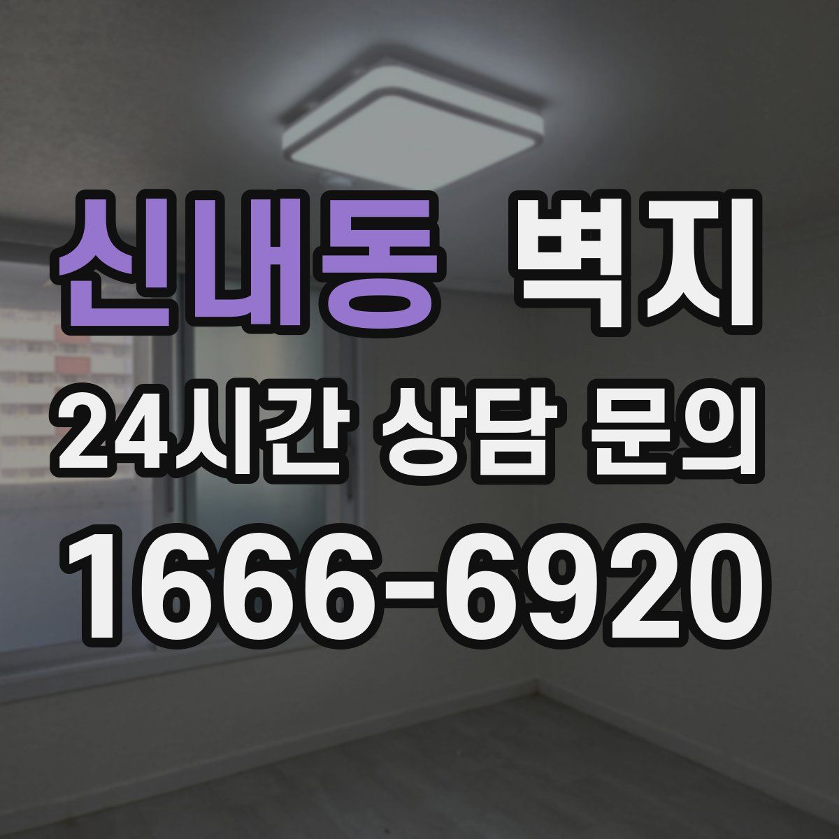 신내동 벽지