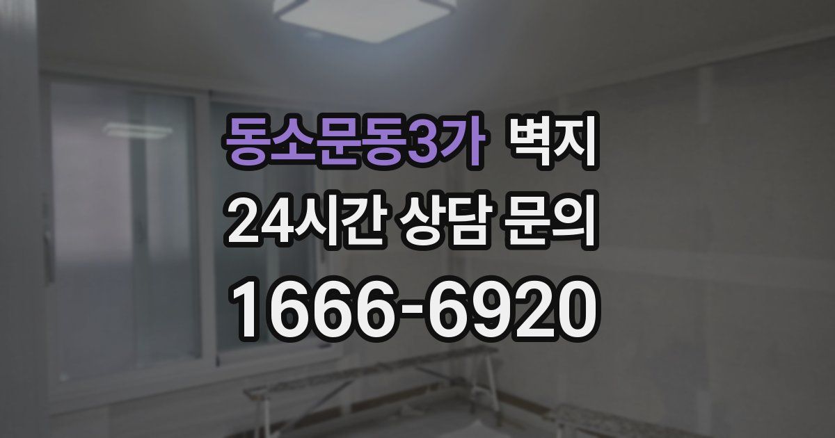 동소문동3가 벽지