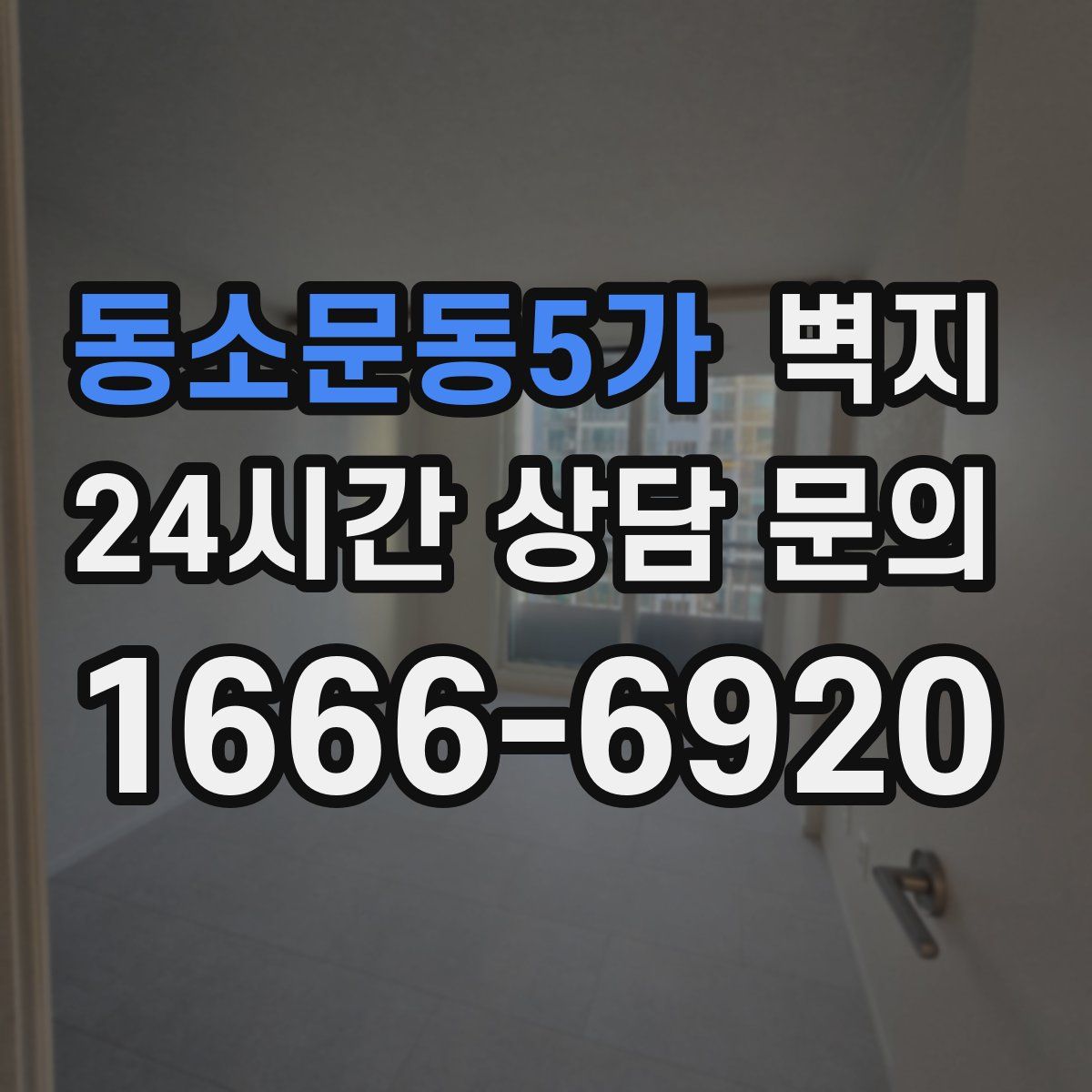 동소문동5가 벽지
