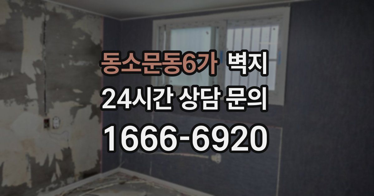 동소문동6가 벽지