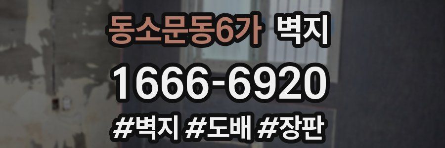 동소문동6가 벽지