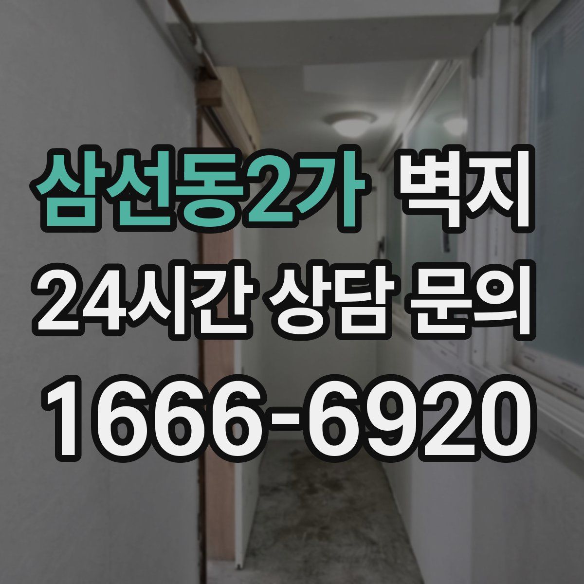 삼선동2가 벽지
