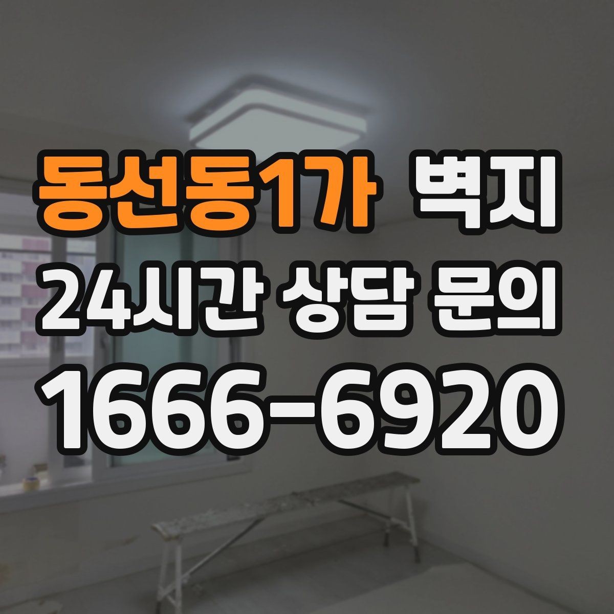 동선동1가 벽지 선택에 도움이 되는 기본 상식