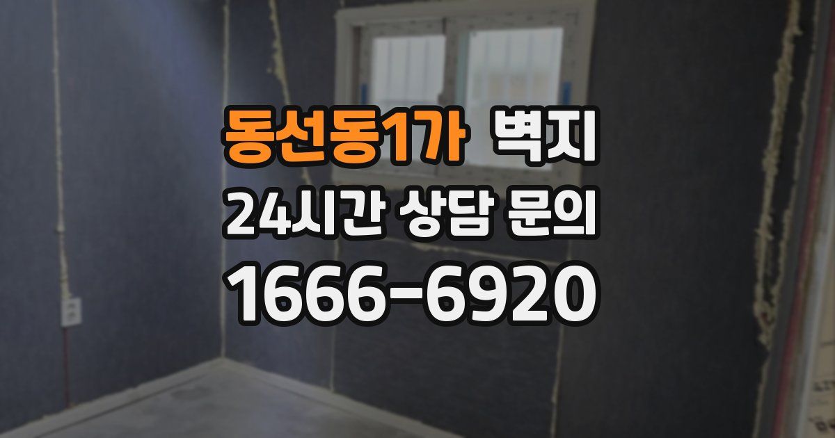 동선동1가 벽지