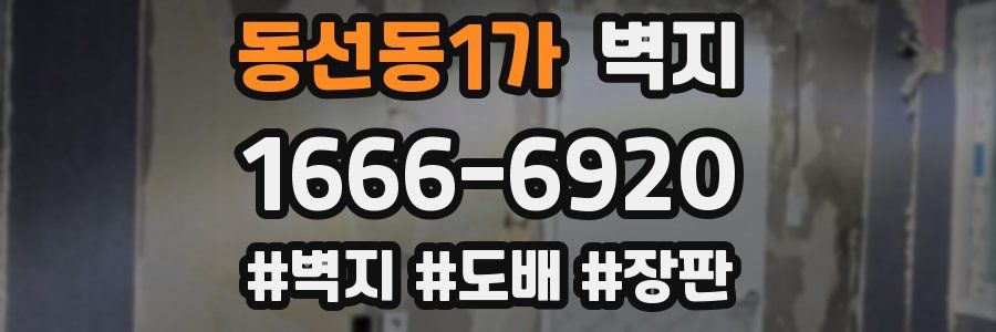 동선동1가 벽지