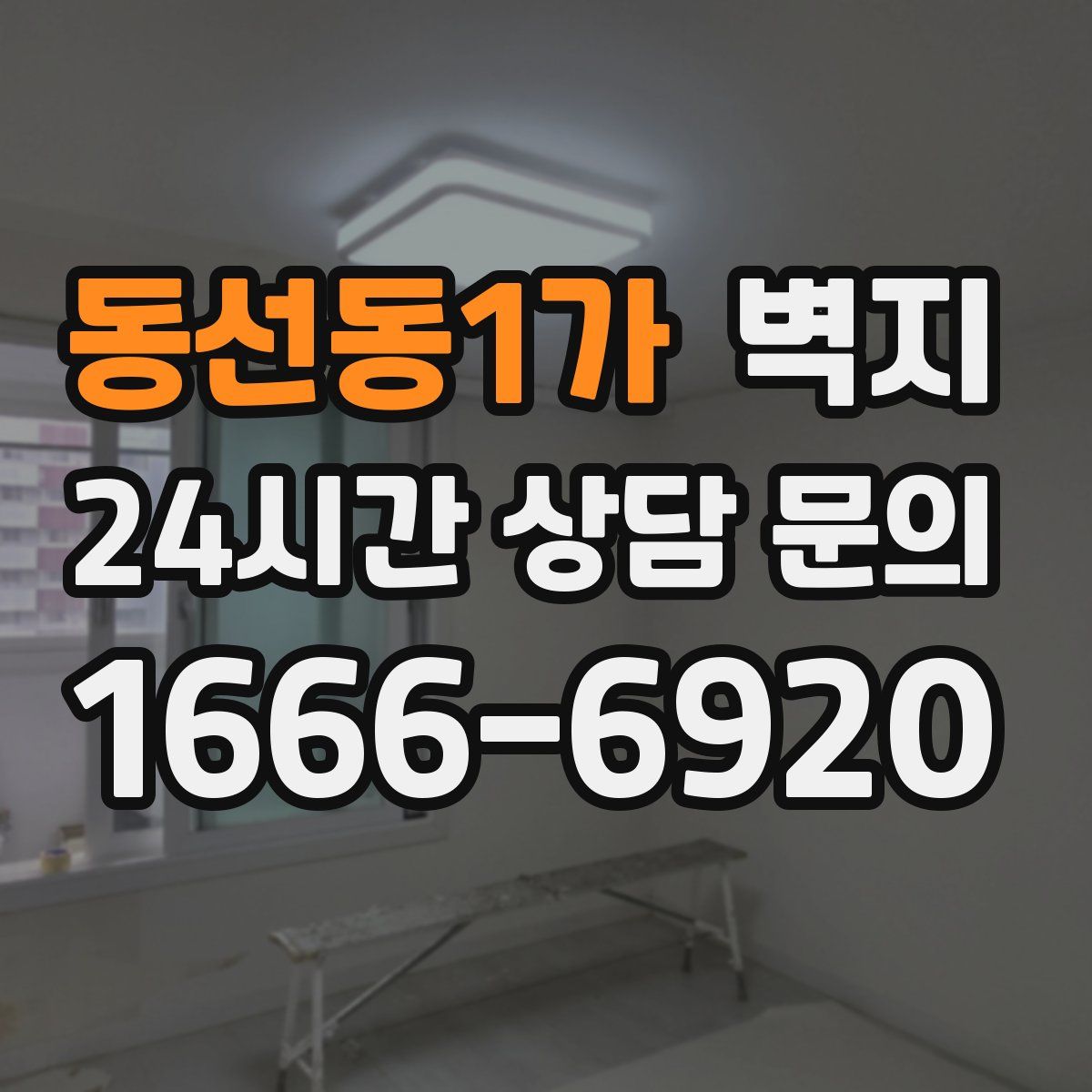 동선동1가 벽지