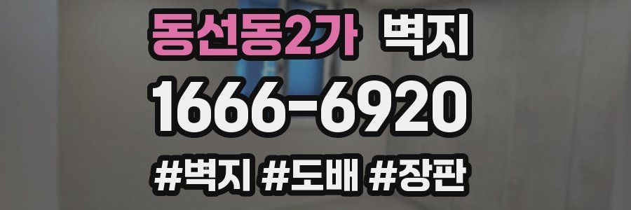 동선동2가 벽지