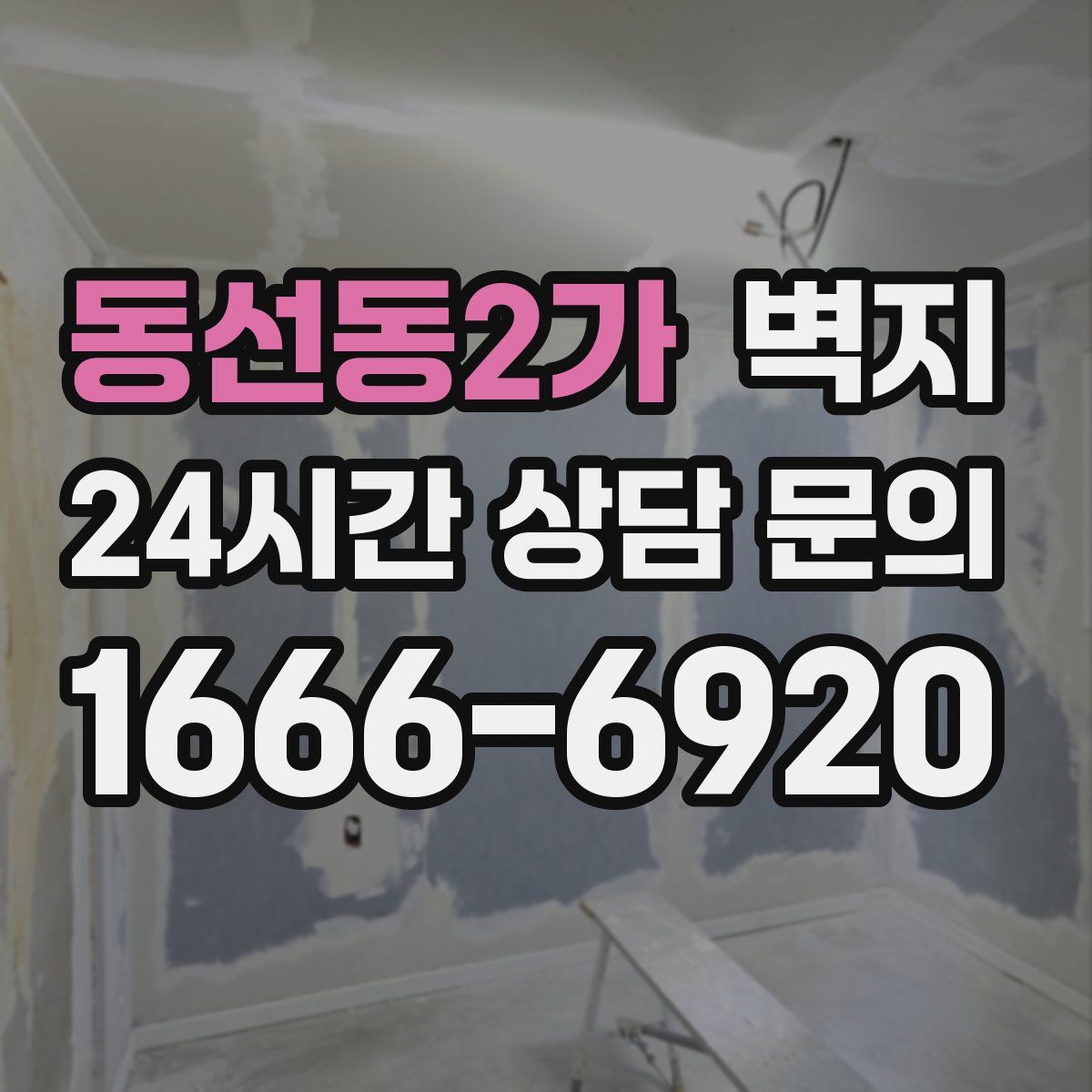 동선동2가 벽지