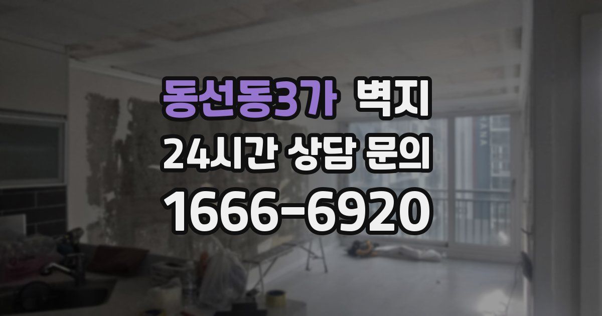 동선동3가 벽지