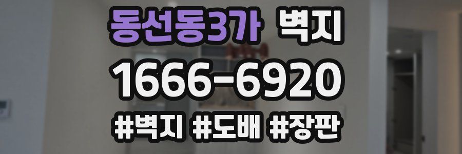 동선동3가 벽지